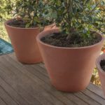 Jardinera Carme