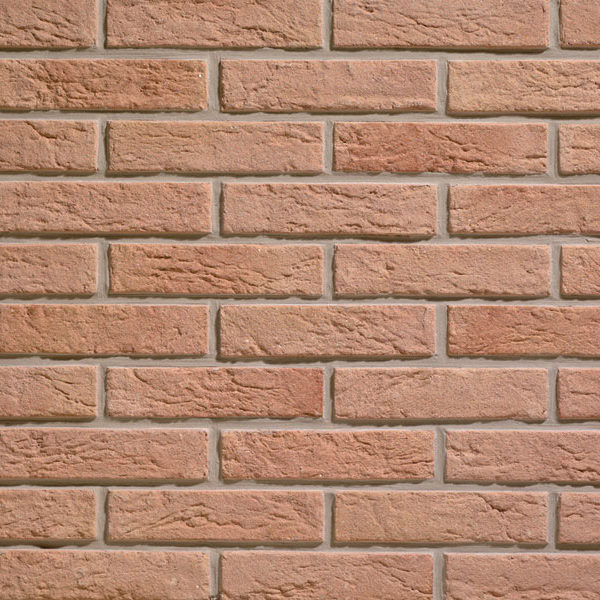Plaqueta Oliva