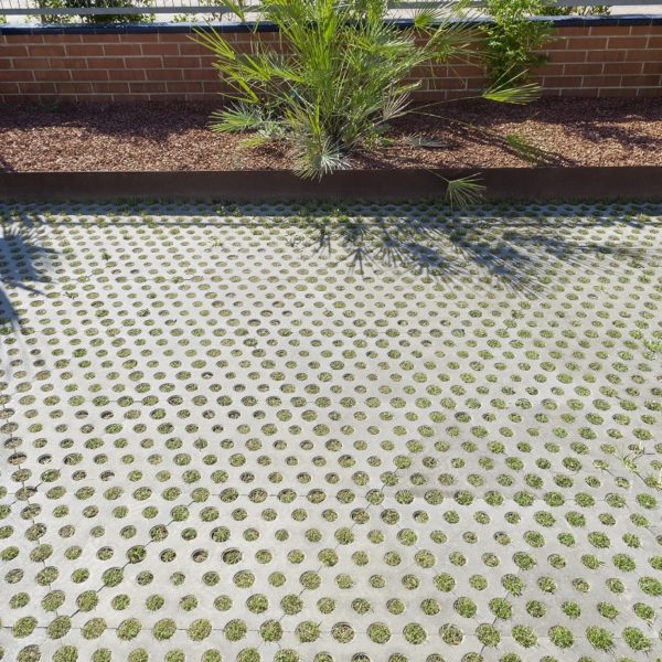 Pavimento cesped gris
